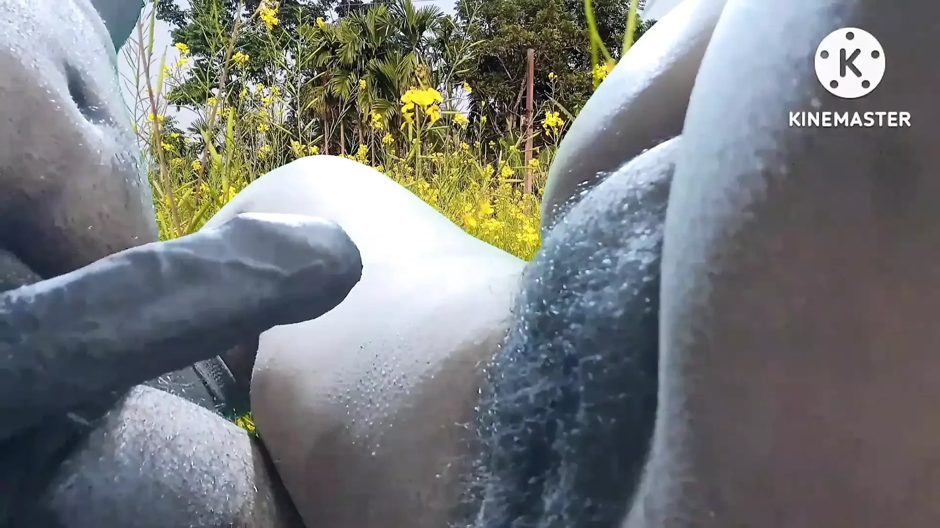 Fuck in field
