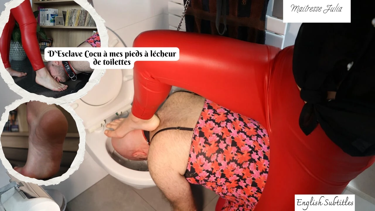 From Cuckold Slave at My Feet to Humiliated Toilet Licker – Mistress Julia