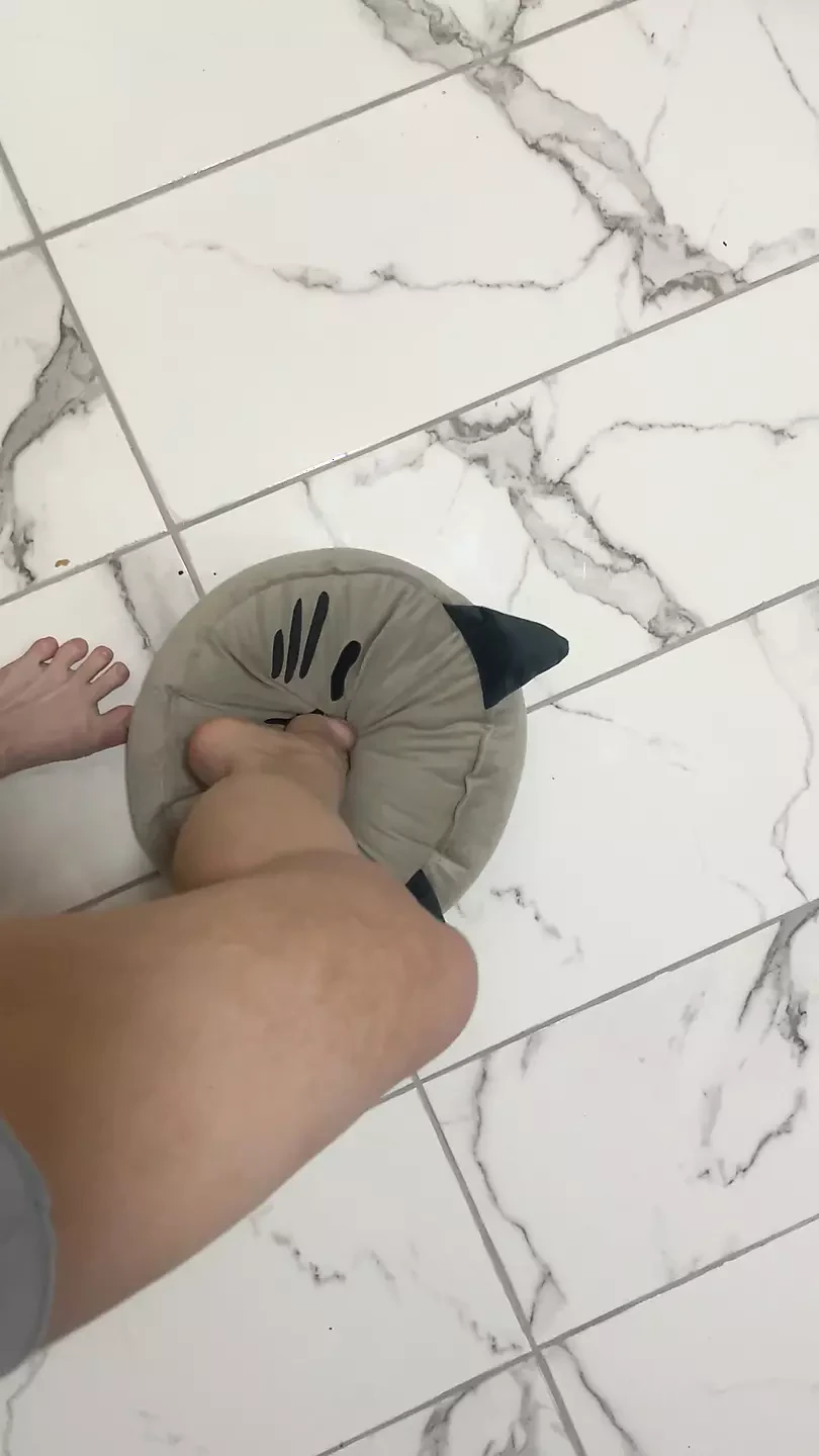 Foot Domination – Crushing Pillow Cat Under Giantess Feet POV