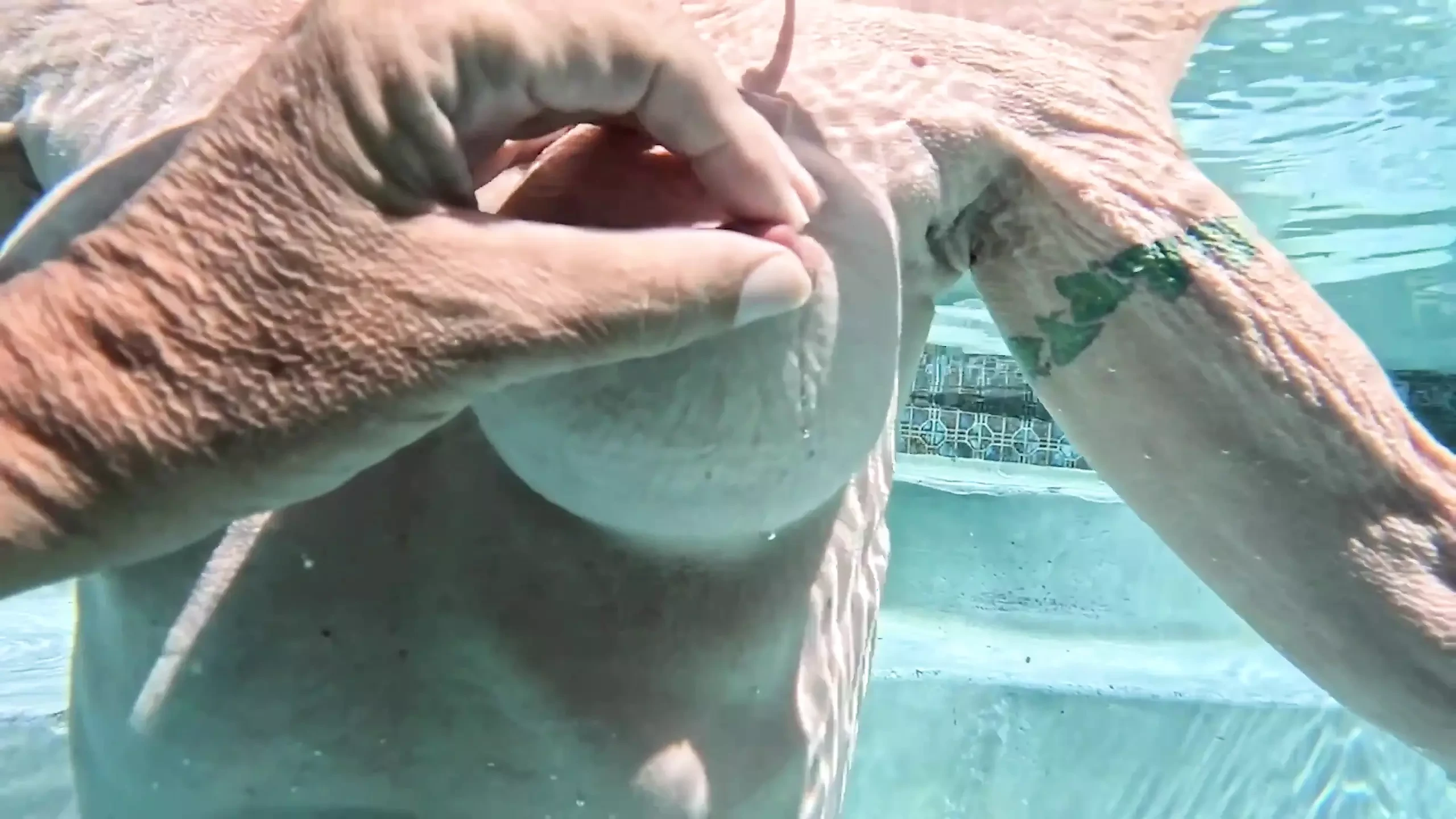 Overunderwater Pool Shots and a Long, Slow-mo Outdoor Shower