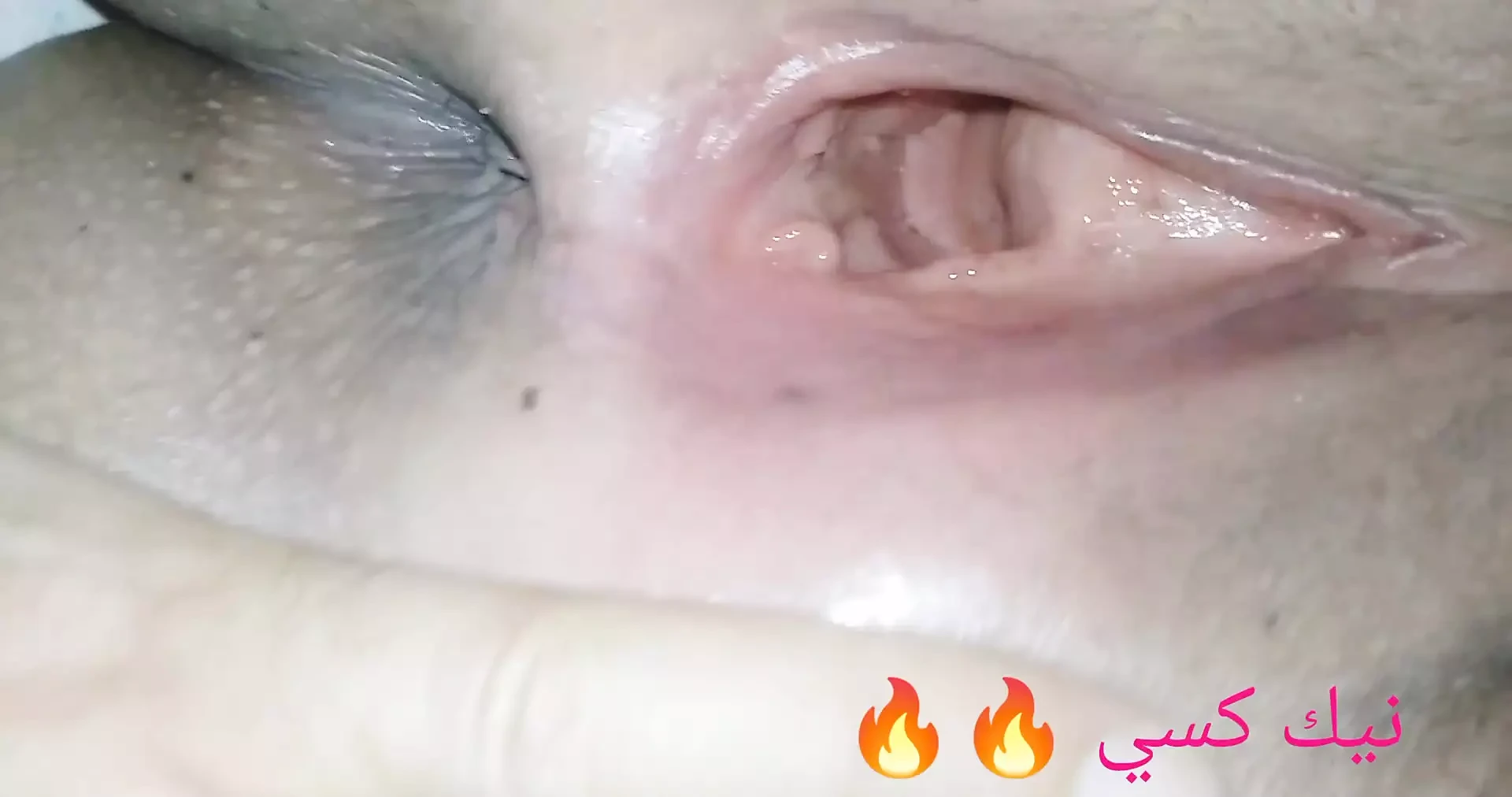 Arab sex pussy creampie