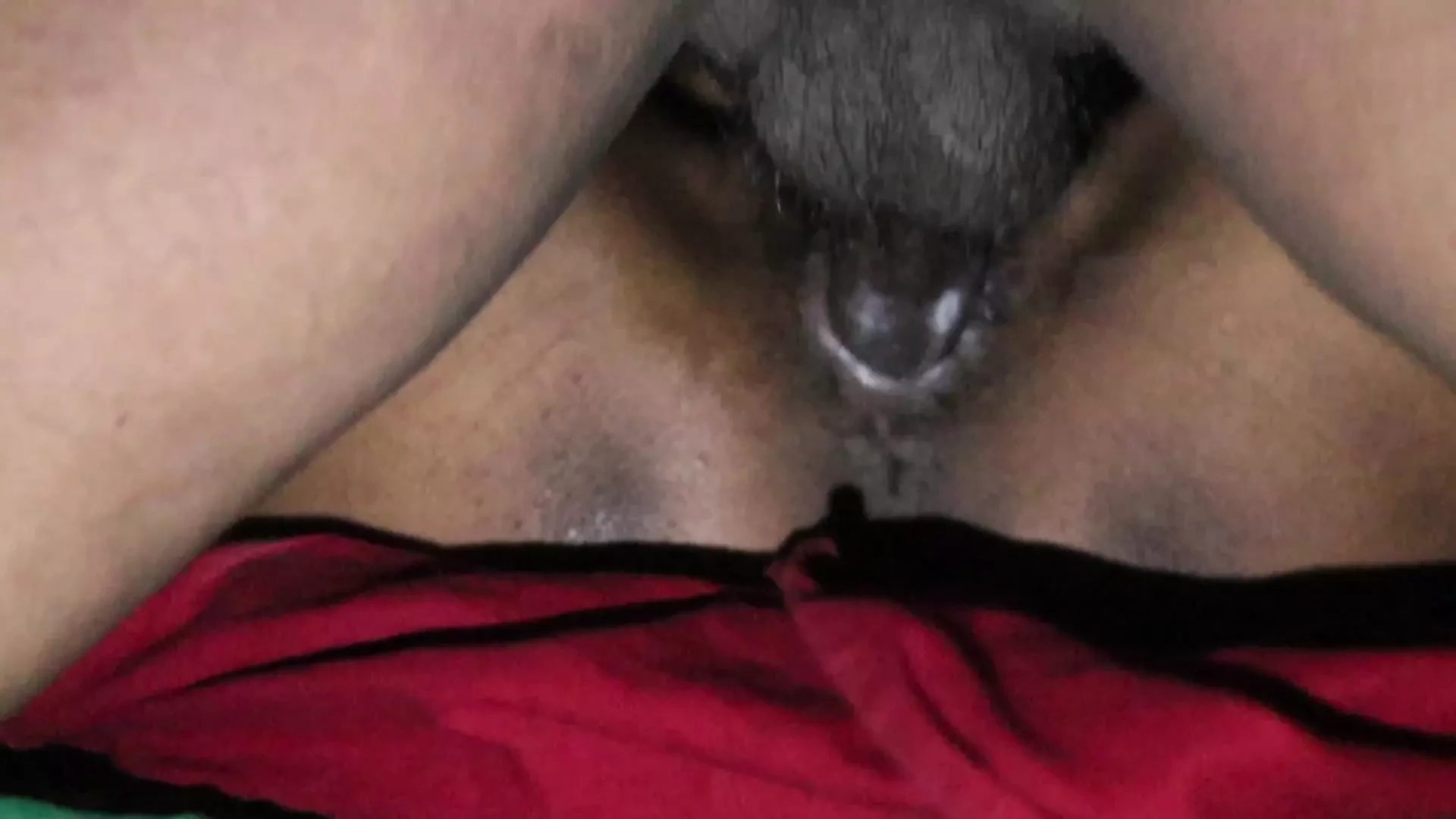 young bhabhi new sex with her young bhabhi