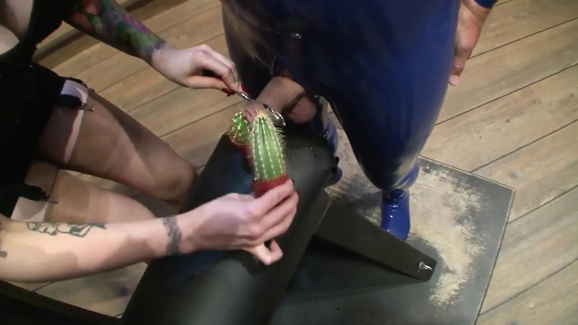 Domina with 2 Male Sex Slaves Cactus and Spikey Toys