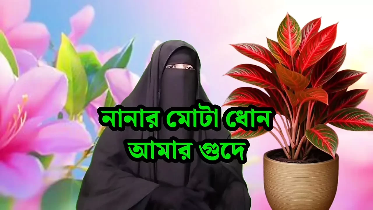 porn story Bangla – Bangladeshi sex