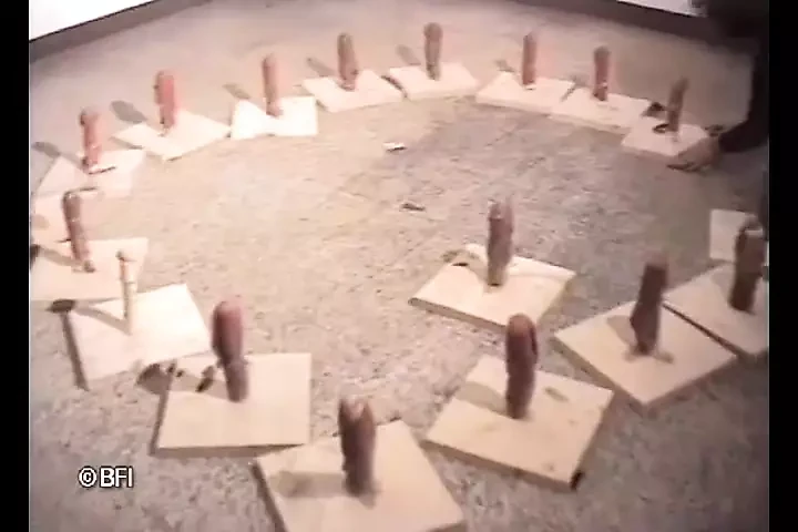 Snake fuck