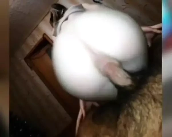 I Carefully Enter This Girl