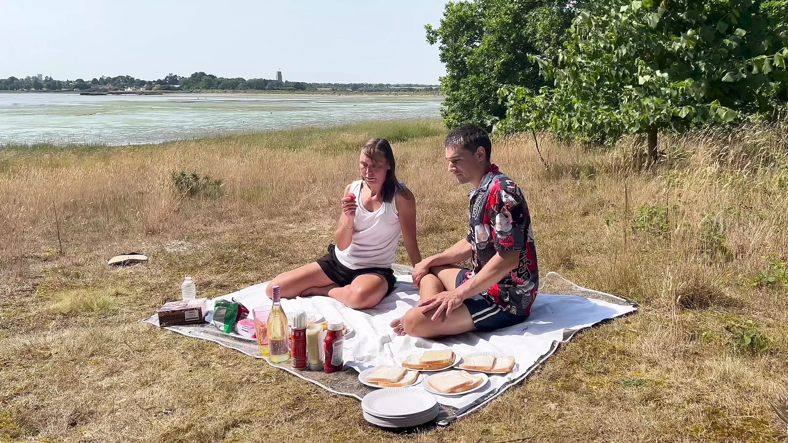 A British Posh Picnic