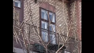 Sexy Luna e l’Anale di Fine Anno (Full Movie)