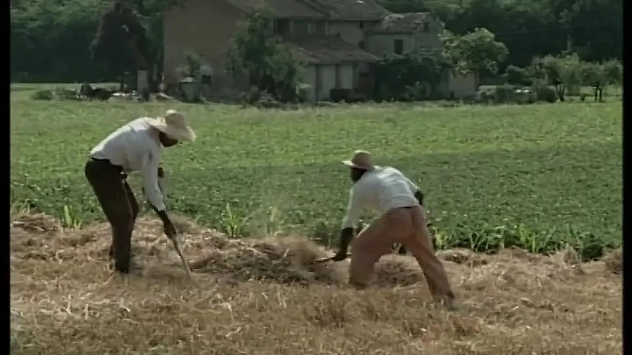 Blonde babe and big cock pussy licking in 69 position