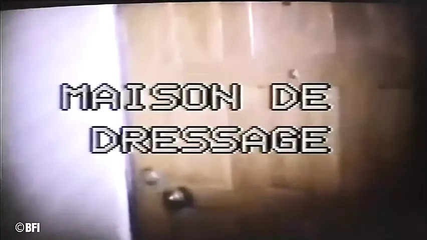 Suffering Series 017 – Mature sluts tied up and tormented while they drill pussies with dildo