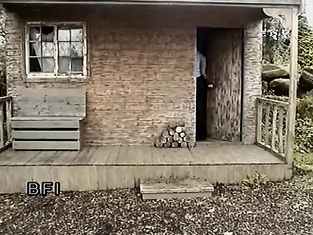 Spanking reminiscences – DVD –