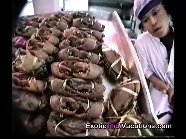 The Erotic Women of Pattaya