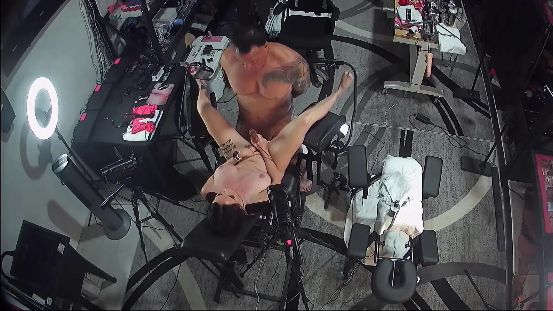 I Like Big Dicks & I Cannot Lie