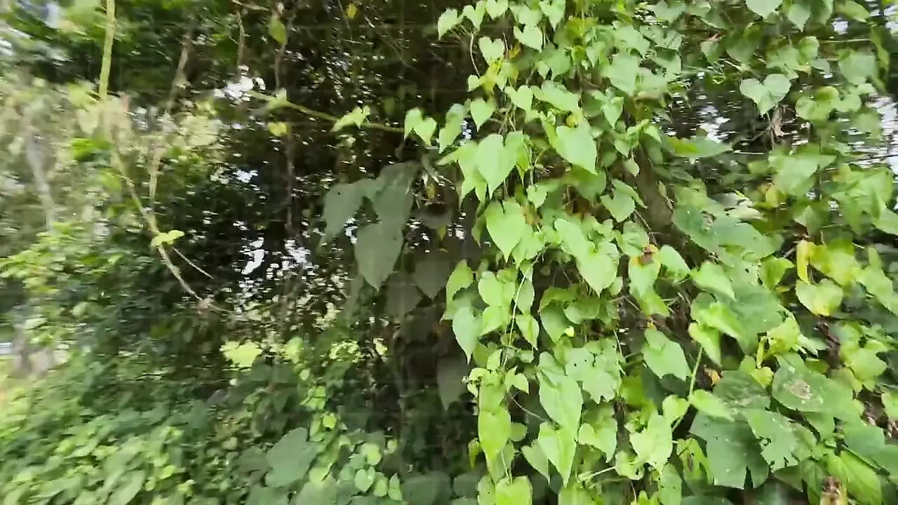 Bangla Choti golpo student and teacher best performance student