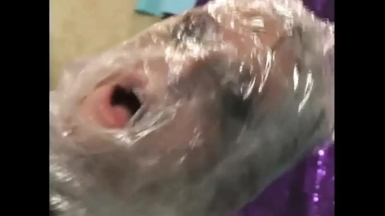 Crazy fetish sex scene with a wild blonde in search of cock