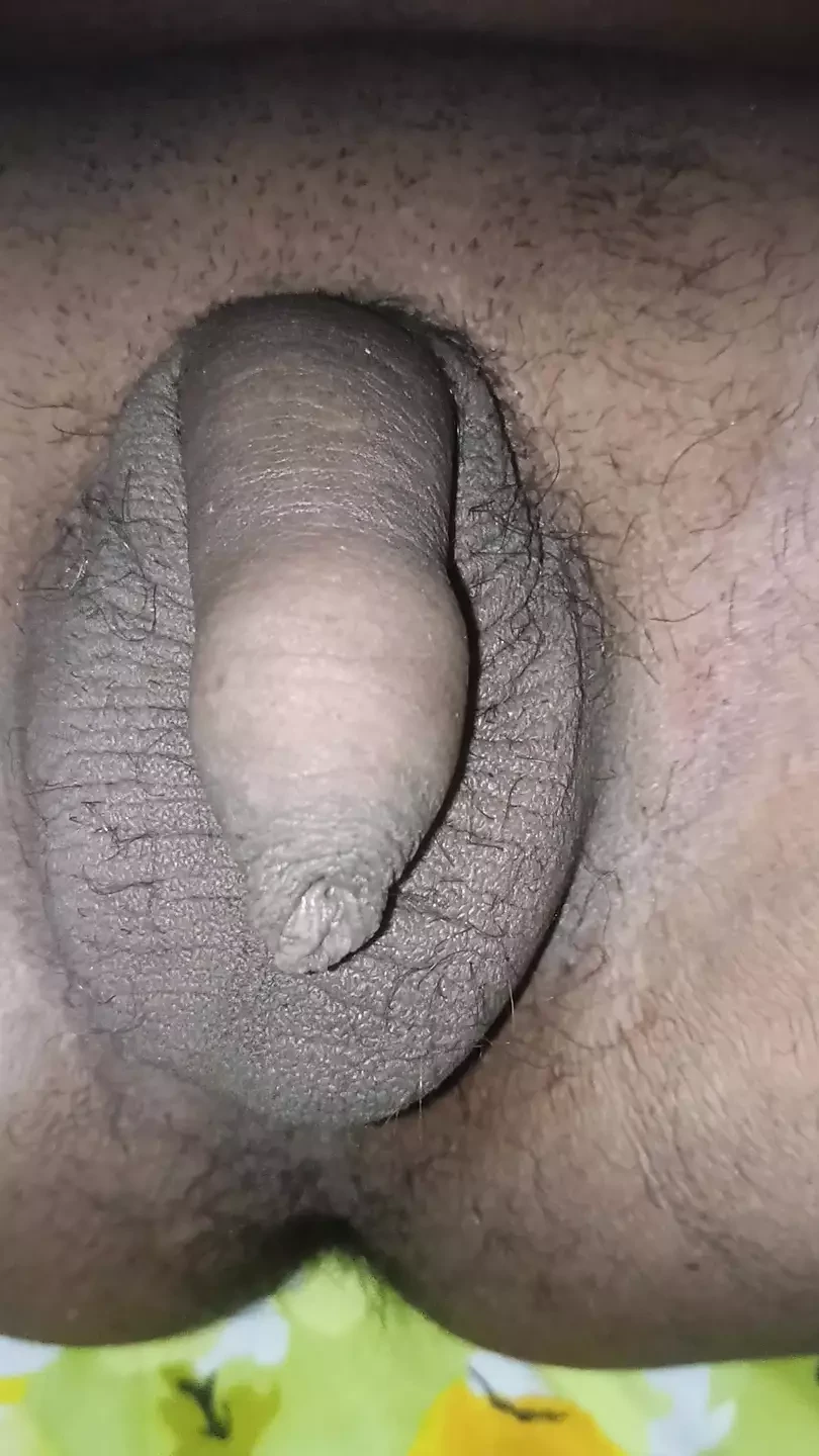 How Male Penis is Getting Ready For Sex. Masturbation Stage in Slowly Growing Penis.