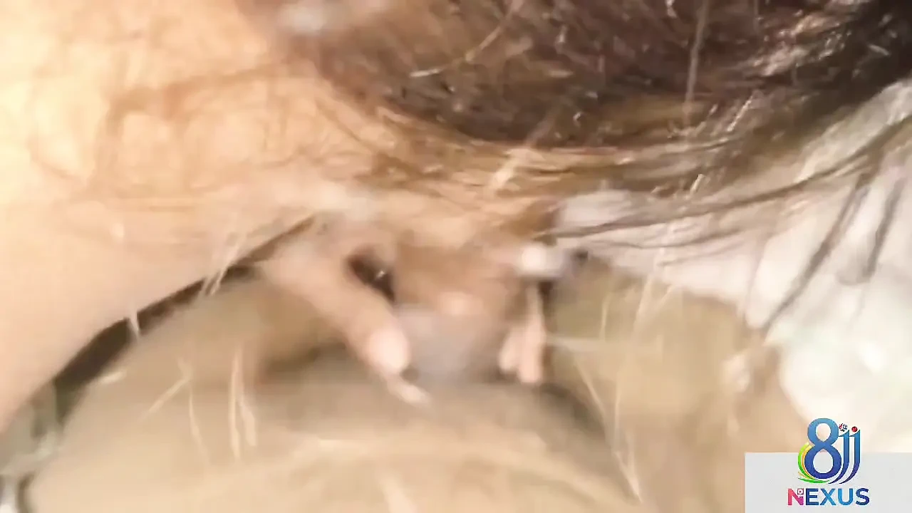 Desi Boy Friend and Girl Friend Sex Video