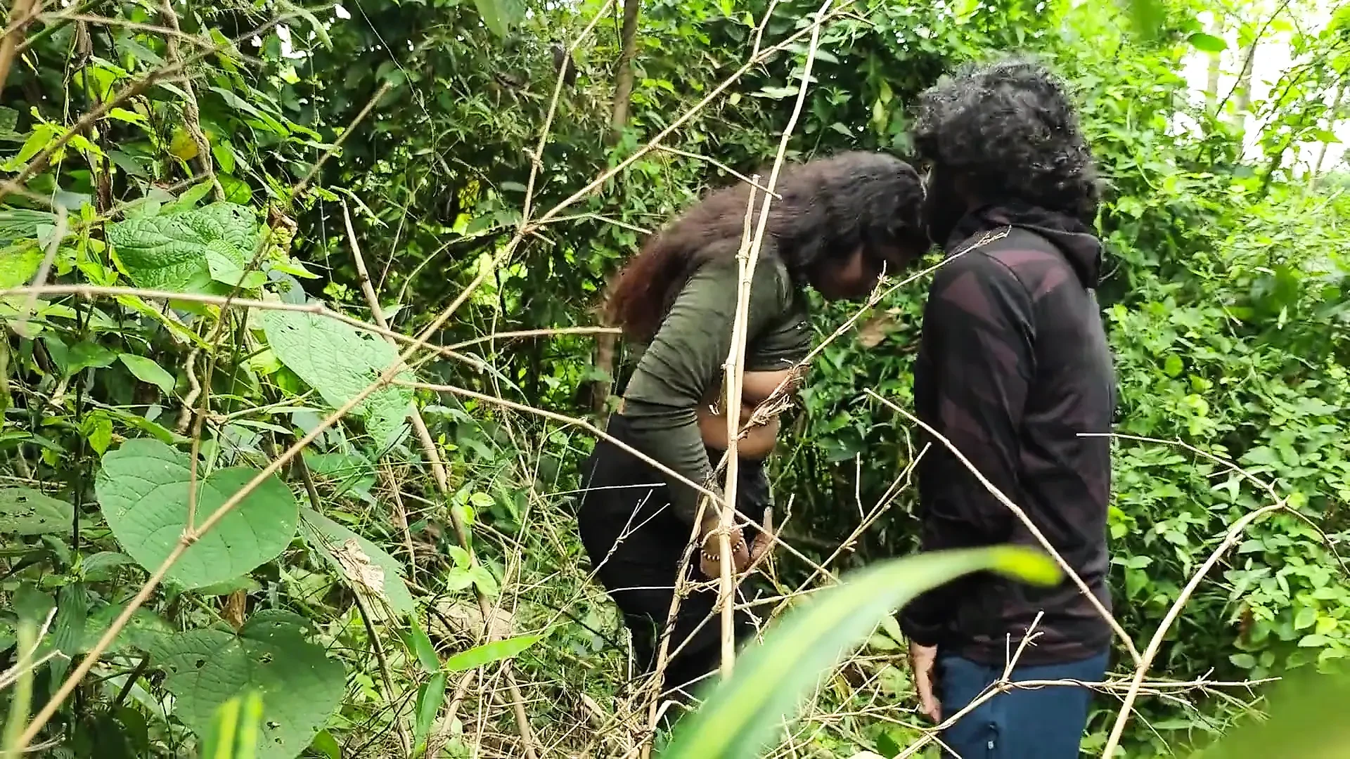 Indian Jungle Sex Video